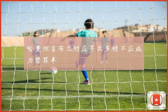 哈曼坦言布兰特应早离多特不应成为替罪羊
