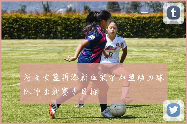 河南女篮再添新血宋宁加盟助力球队冲击新赛季目标