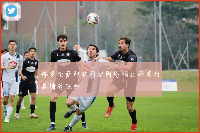 佛罗伦萨即将引进阿塔帕拉蒂奇对其情有独钟